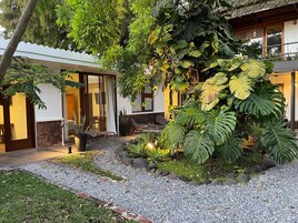 Ein modernes Haus mit Terrasse, großen Pflanzen und einem Kiesweg.