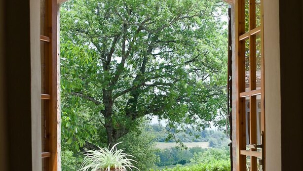 Una puerta abierta que da a un patio con una mesa y sillas, rodeado de plantas en macetas y vistas a un árbol grande y paisaje.