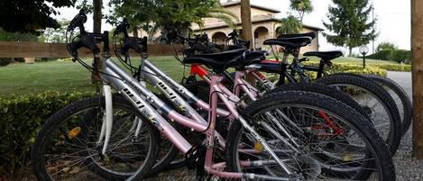 Una fila de bicicletas estacionadas bajo una estructura cubierta, con un edificio al fondo.