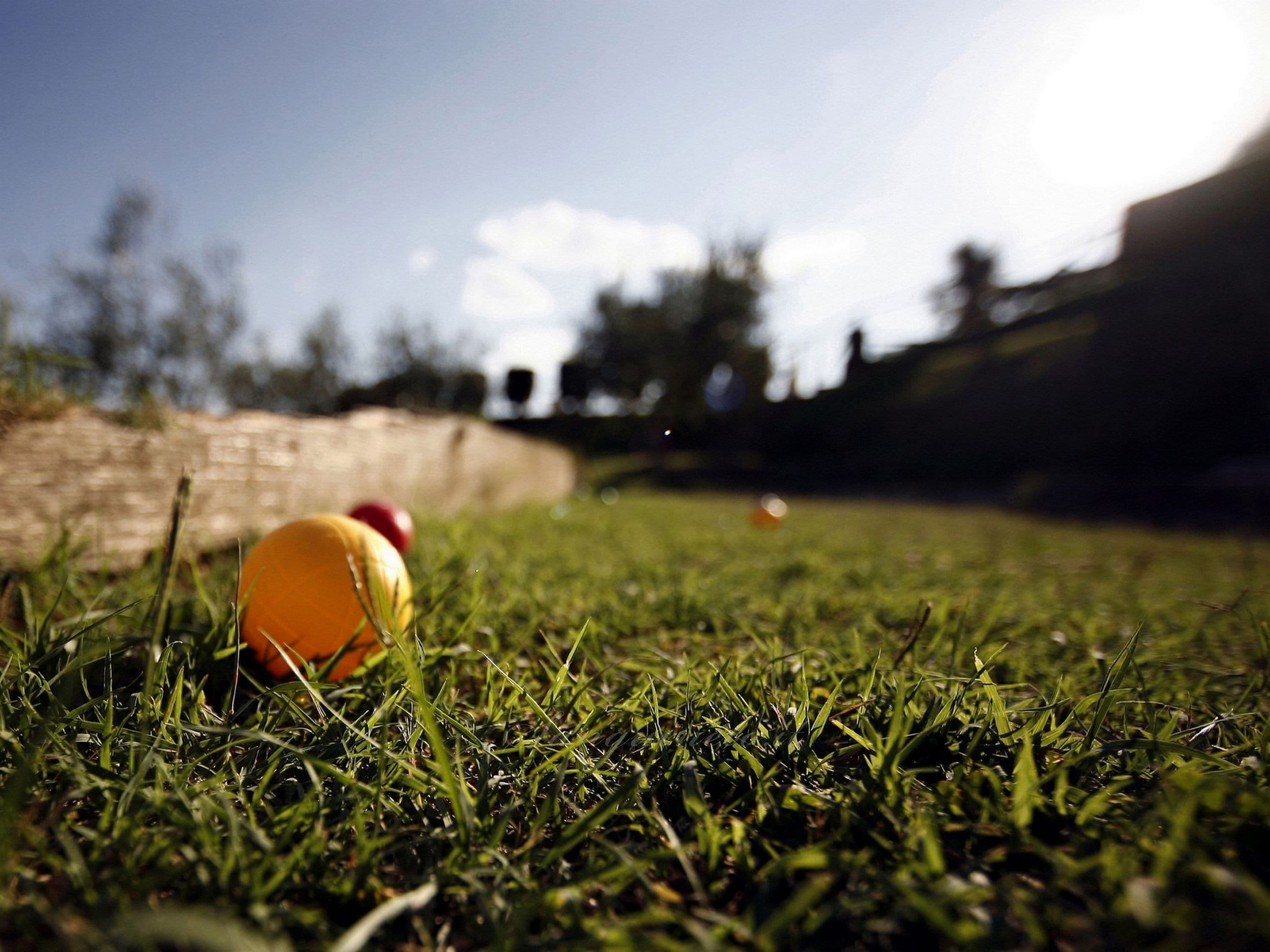 Primer plano de una pelota de golf sobre césped, con un fondo desenfocado de un campo de golf.