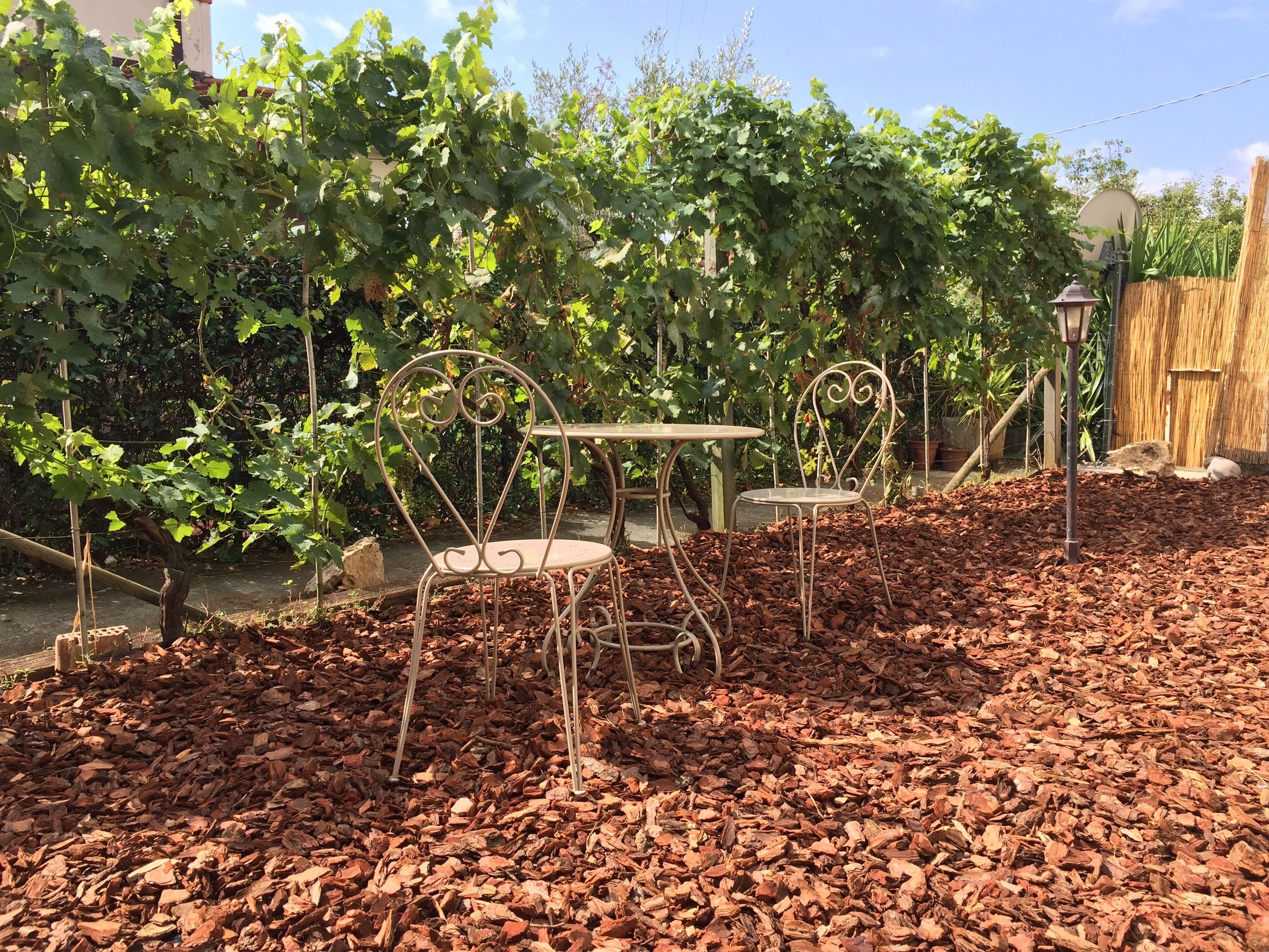 Foto - Il Casale Del Giglio