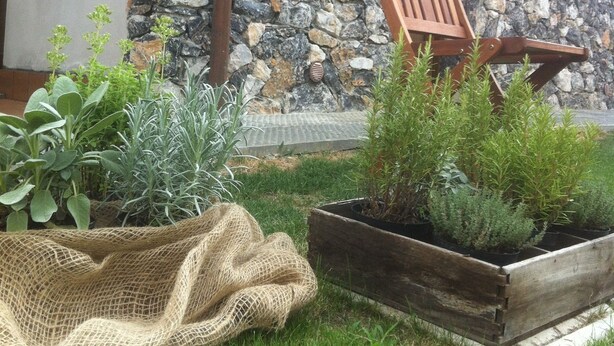 Un edificio de piedra con una silla de madera y plantas en macetas al frente.