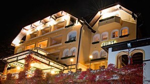 Front of property - evening/night - Hotel Restaurant Häupl (Seewalchen am Attersee)