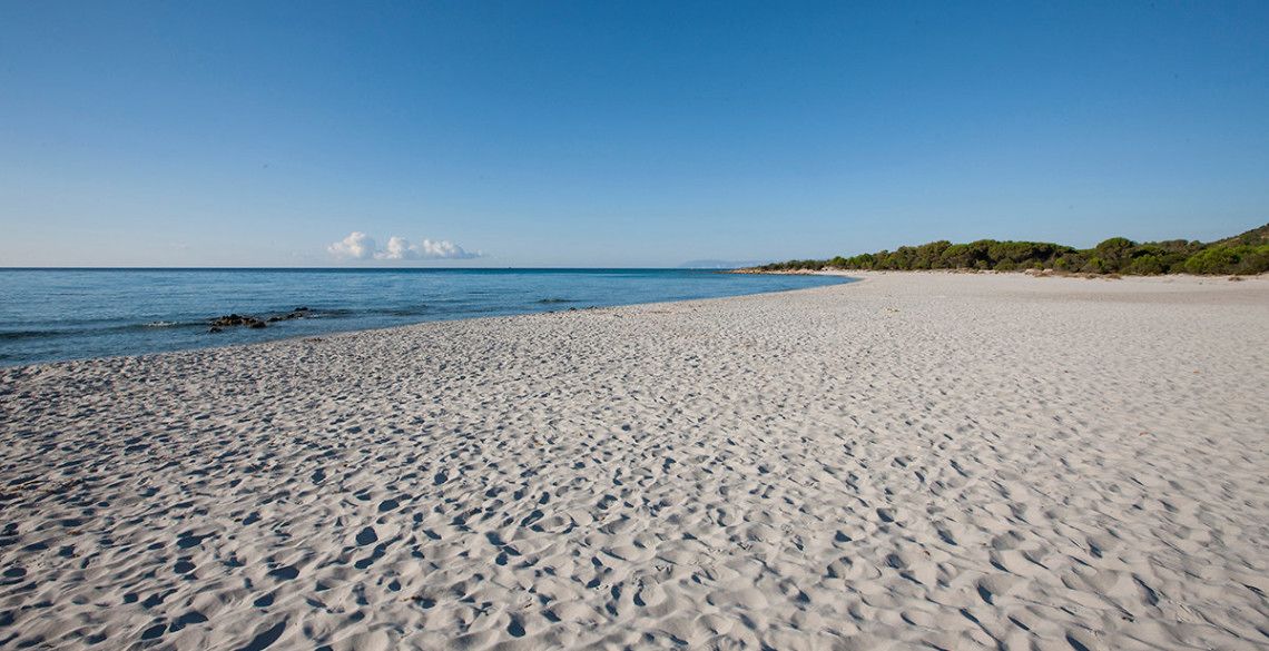 A wide sandy beach with a clear blue sky and calm sea.