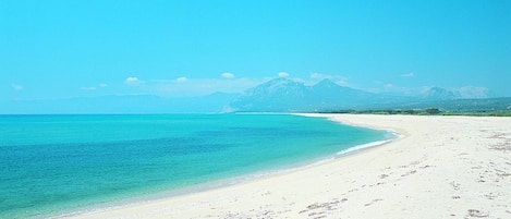 Beach nearby, beach shuttle