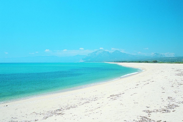 Beach nearby, beach shuttle