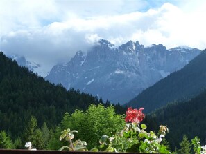 A mountainous landscape with a view of snow-capped peaks and dense forest. - Hotel Al Sole (Auronzo di Cadore)