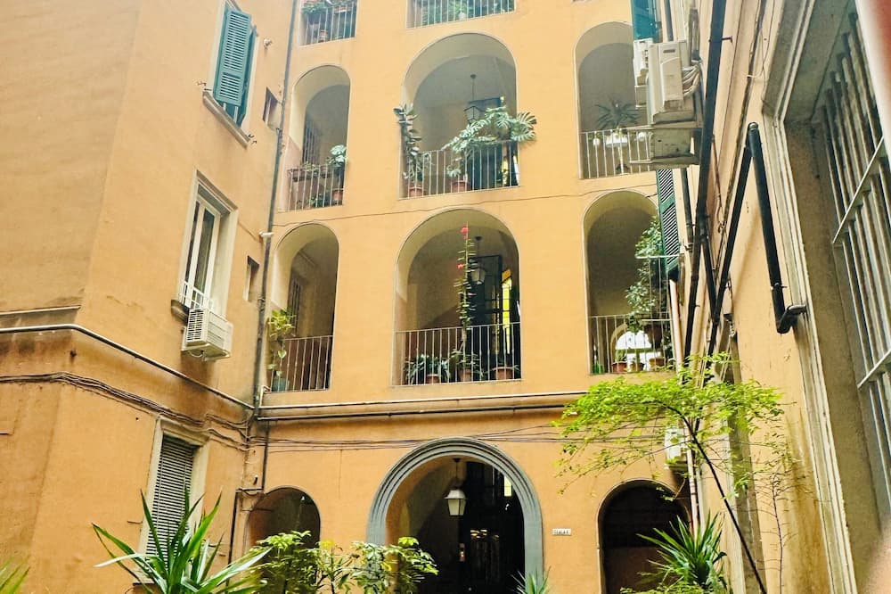 Interno 5