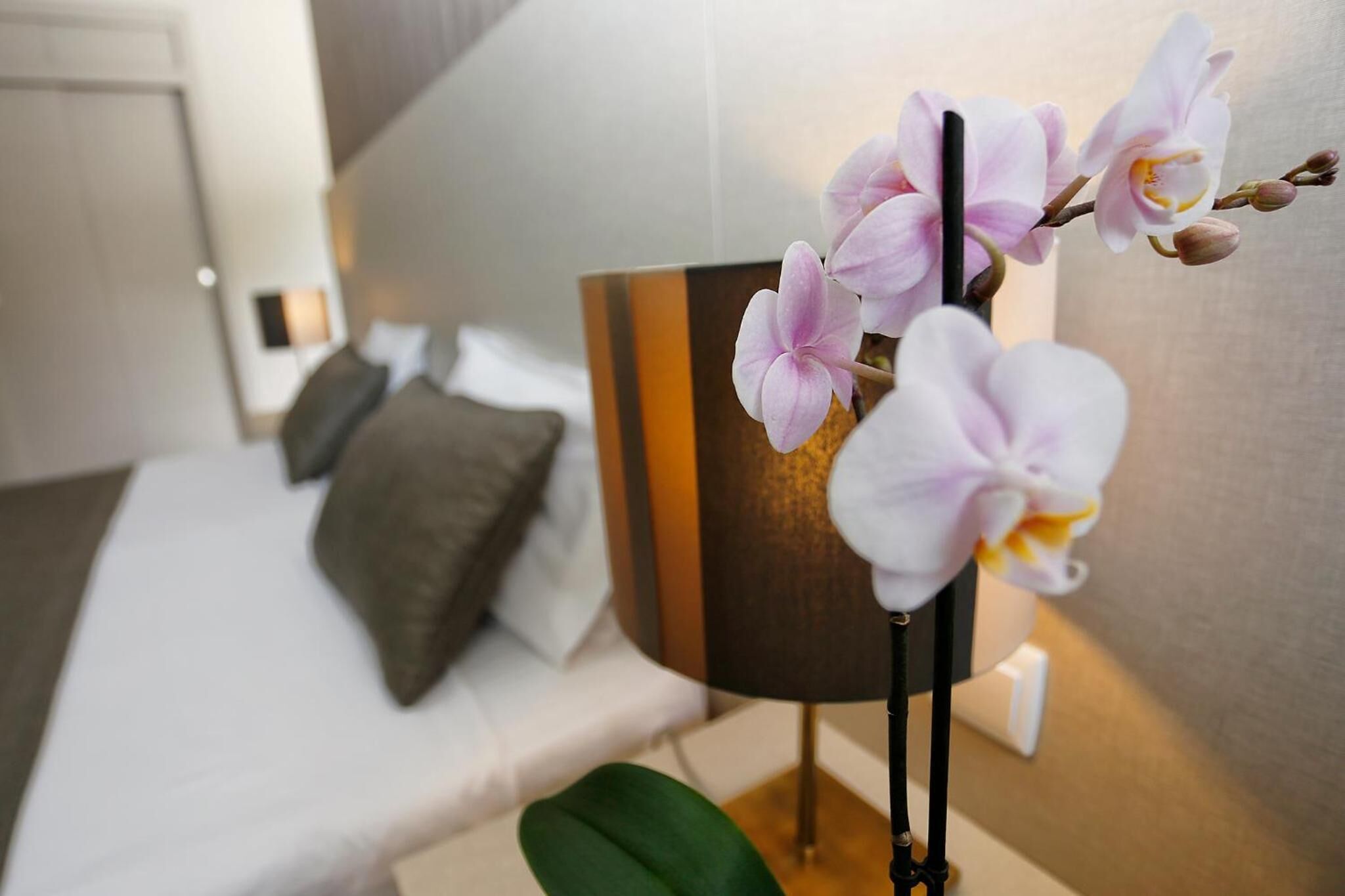 A neatly made bed with pillows, a bedside table with a lamp, and a wall-mounted shelf with a plant.