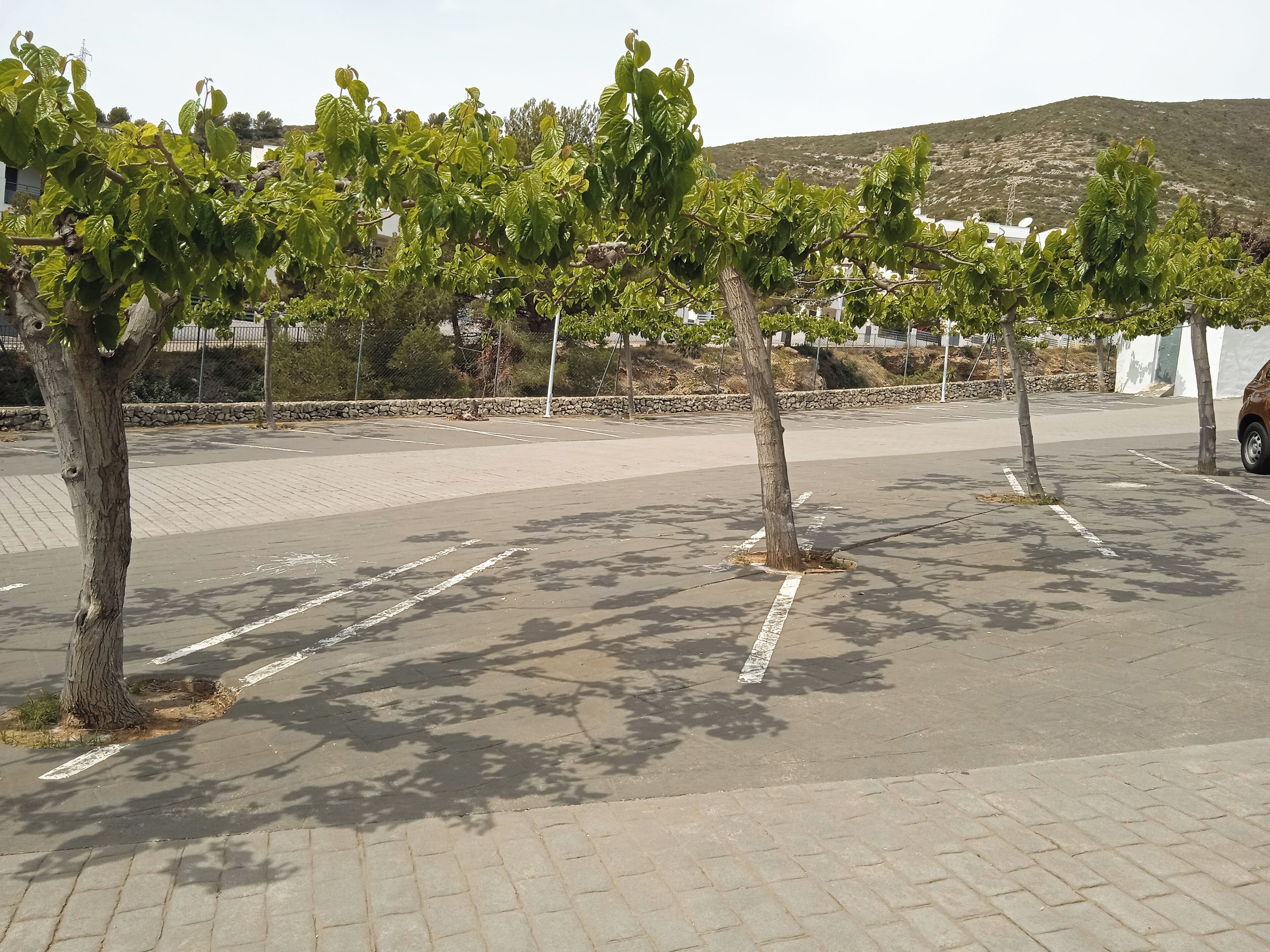 A parking lot with trees and a stone wall in the background.