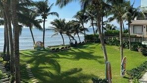 Un césped cuidado con una pelota de playa, palmeras y vista al océano.
