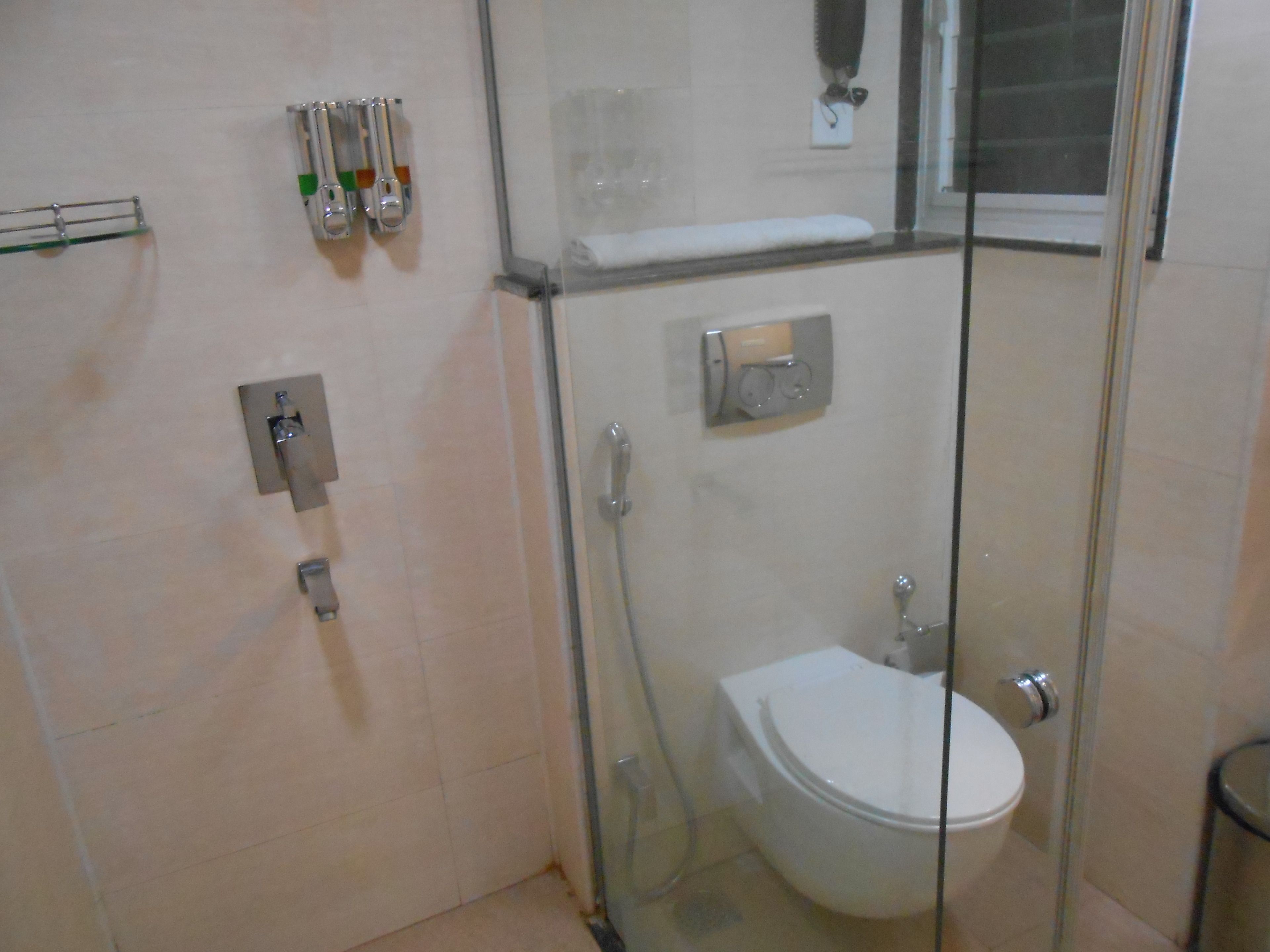 A glass-enclosed shower stall with a toilet and a towel rack.
