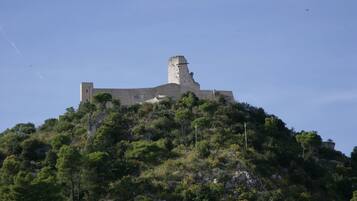 Un castillo de piedra histórico en una colina, rodeado de vegetación densa.