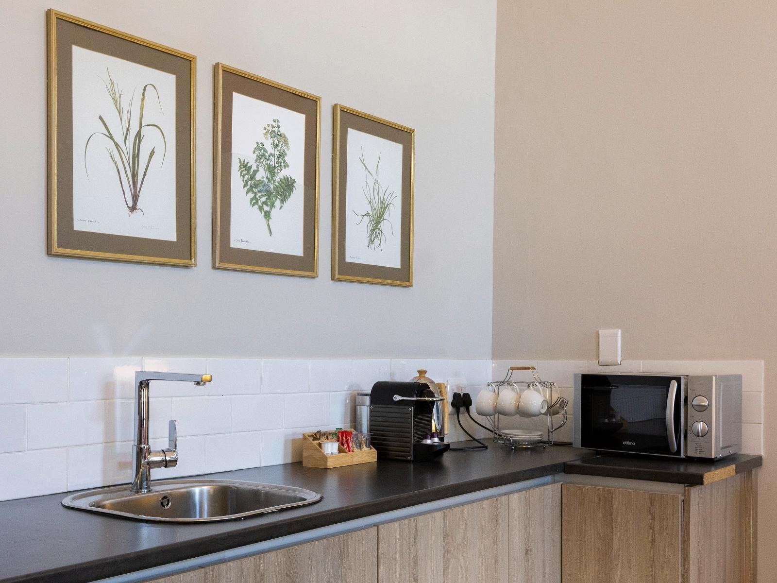 A kitchen with a stainless steel sink, a microwave, and three framed botanical prints on the wall.