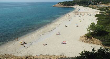 Pantheon Studios Apartments