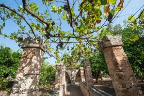 การตกแต่งภายนอก