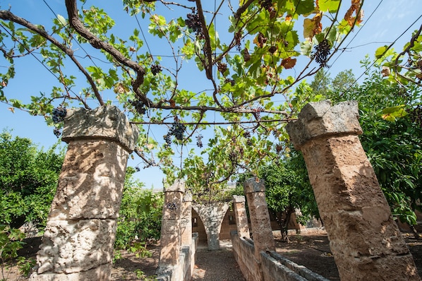 Exterior detail - Borgo San Marco (Fasano)