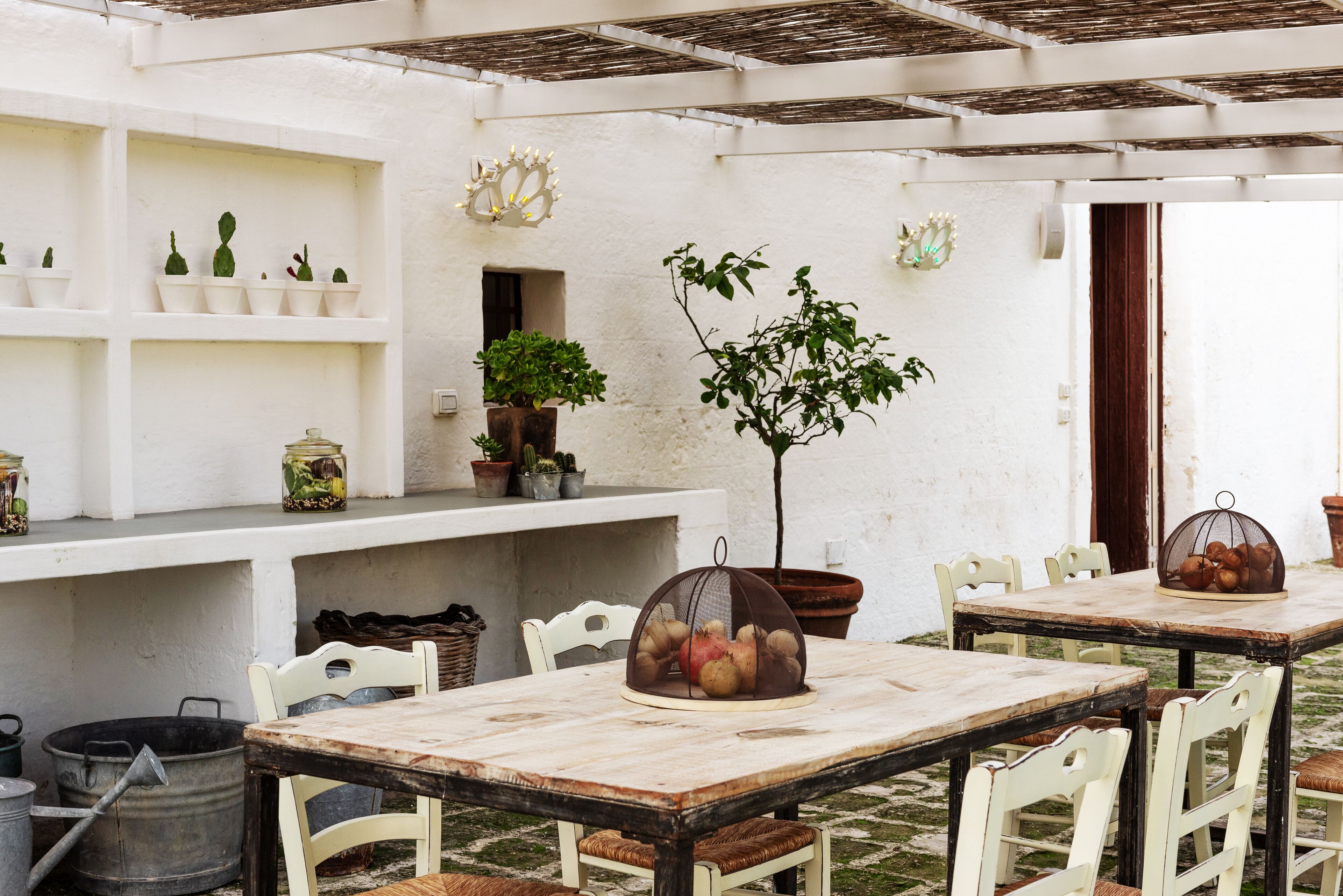A rustic dining area with white-painted walls, wooden tables, and chairs. There are potted plants and a large tree in the center.