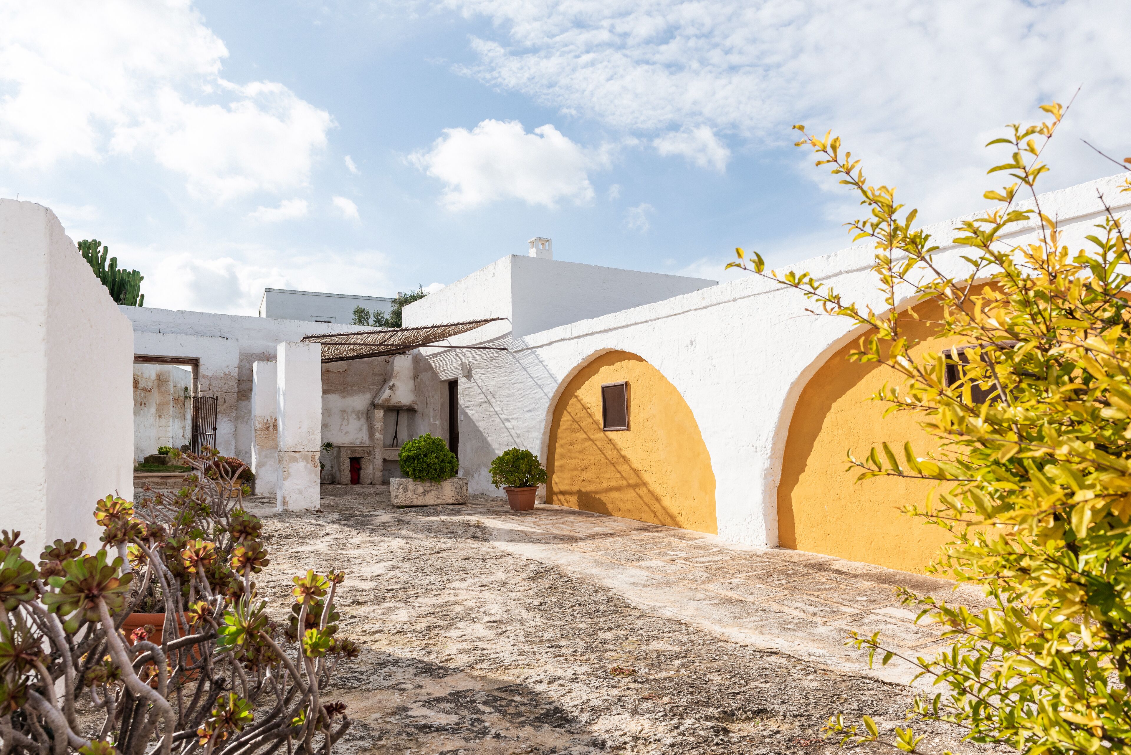 A courtyard with white and yellow walls, potted plants, and a cactus.