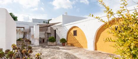 A courtyard with white and yellow walls, potted plants, and a cactus.