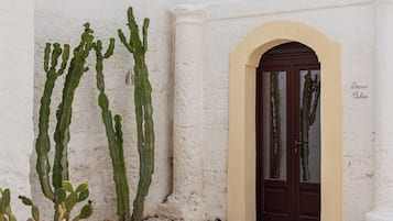 Suite Deluxe, 1 chambre