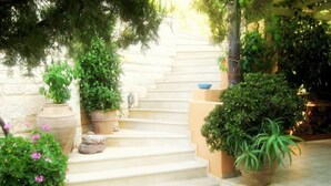 A set of outdoor stone steps leading up to a building, surrounded by various potted plants and greenery.