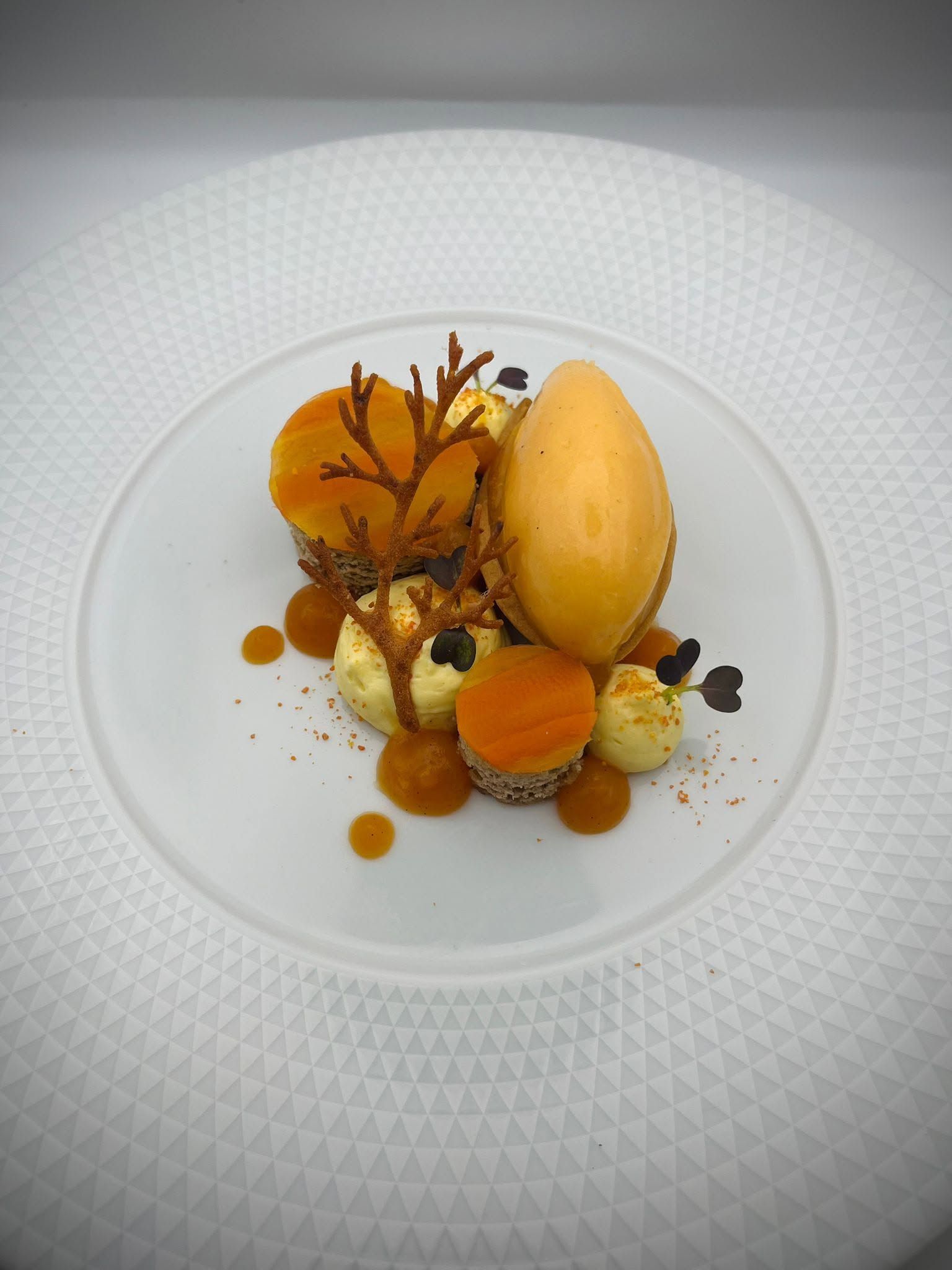 A dessert plate with a scoop of ice cream, caramel sauce, and a decorative element resembling a tree.