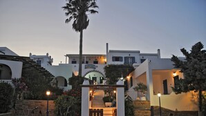 A traditional white building with a welcoming entrance, stone steps, and a palm tree. - Porto Vlastos (Tinos)