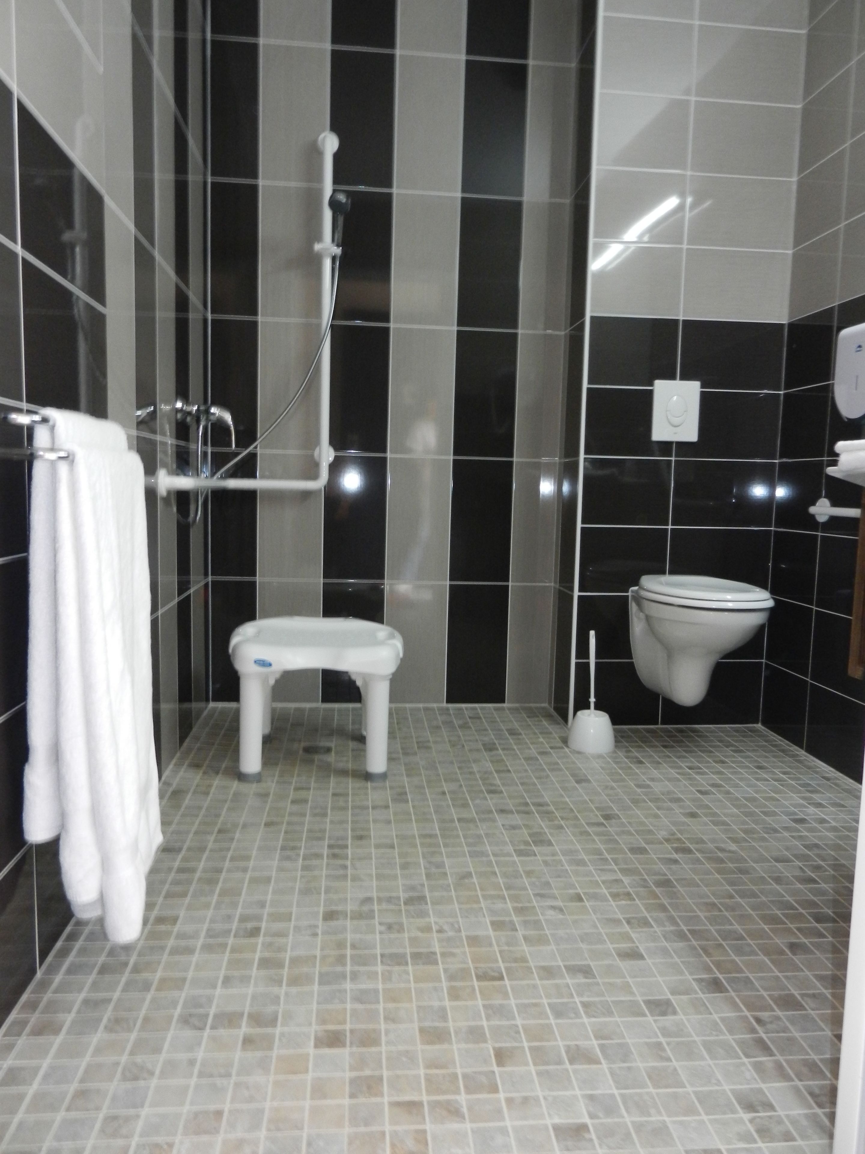 Een badkamer met douche, toilet en een klein opstapkrukje.