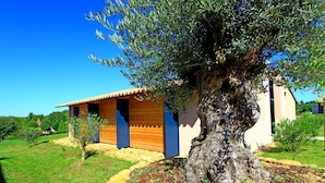Un edificio rústico con un gran árbol en frente, rodeado de un césped bien cuidado.