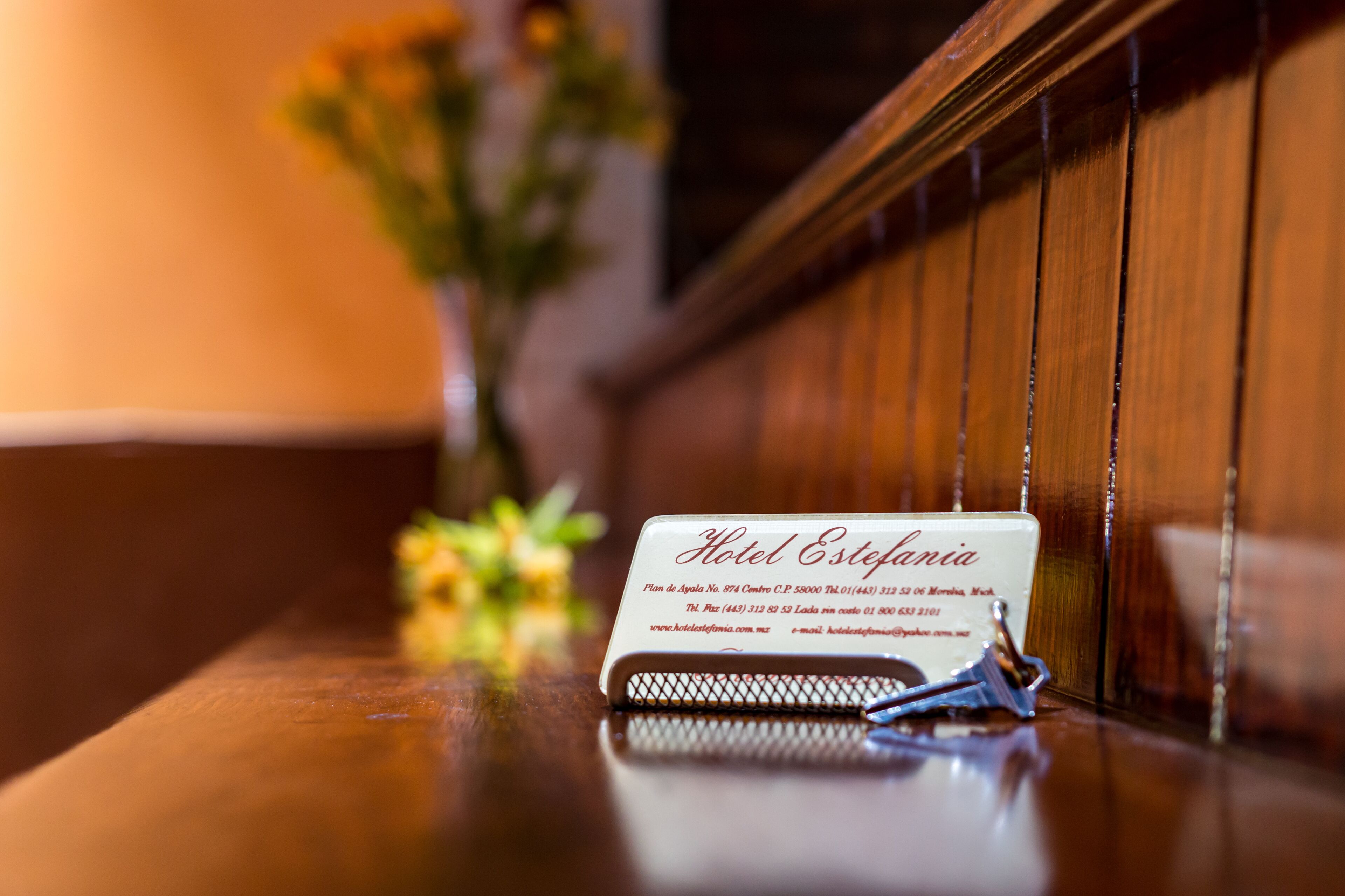 Photo - Hotel Estefania