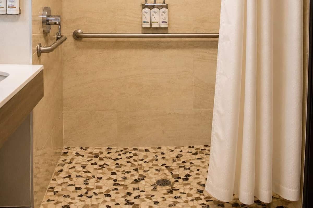 Standard Room, 1 King Bed, Accessible (Mobility, Roll-In Shower) | Bathroom shower