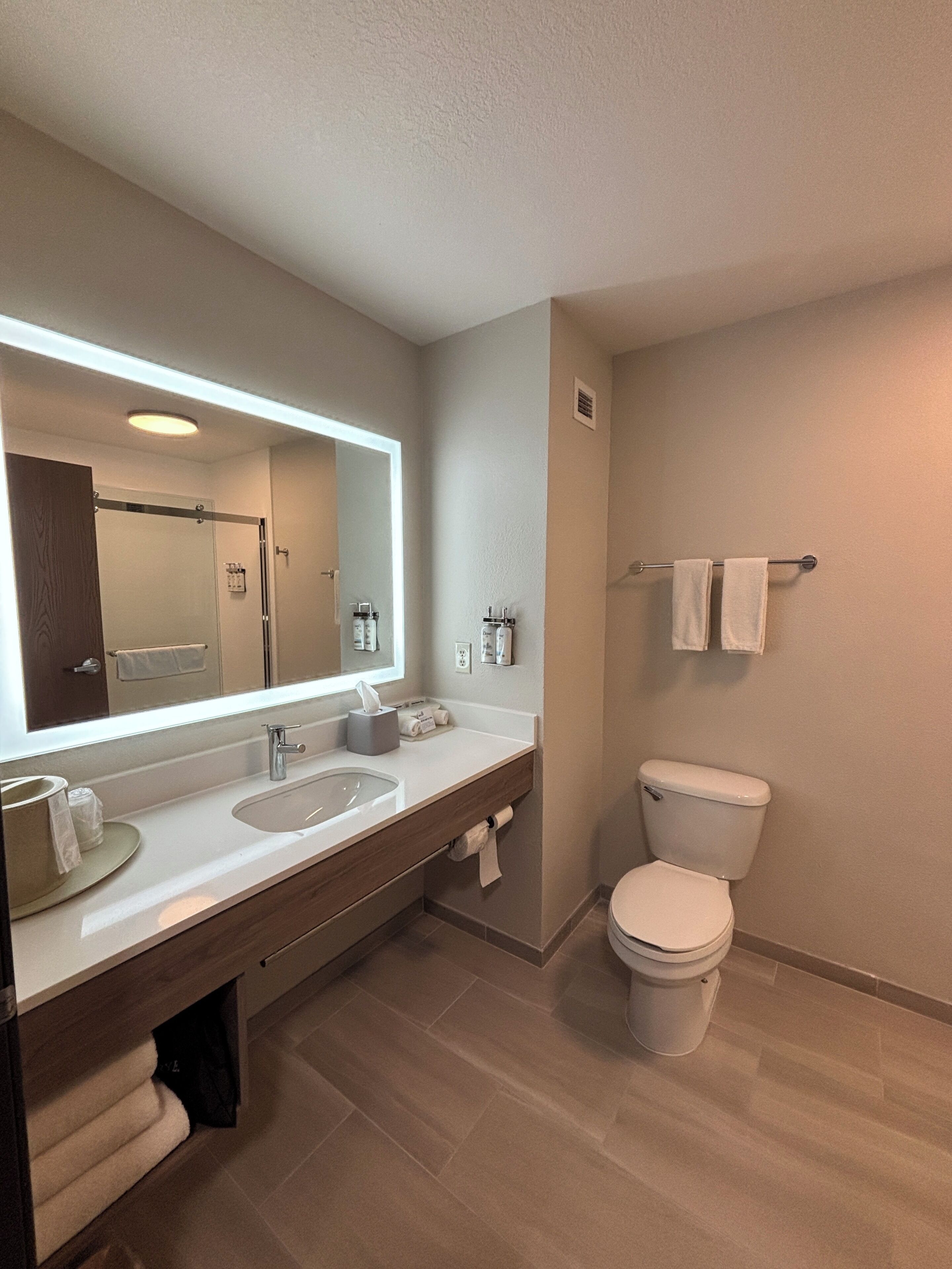 A modern bathroom with a double sink vanity, a toilet, and a large mirror.