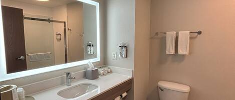 A modern bathroom with a double sink vanity, a toilet, and a large mirror.