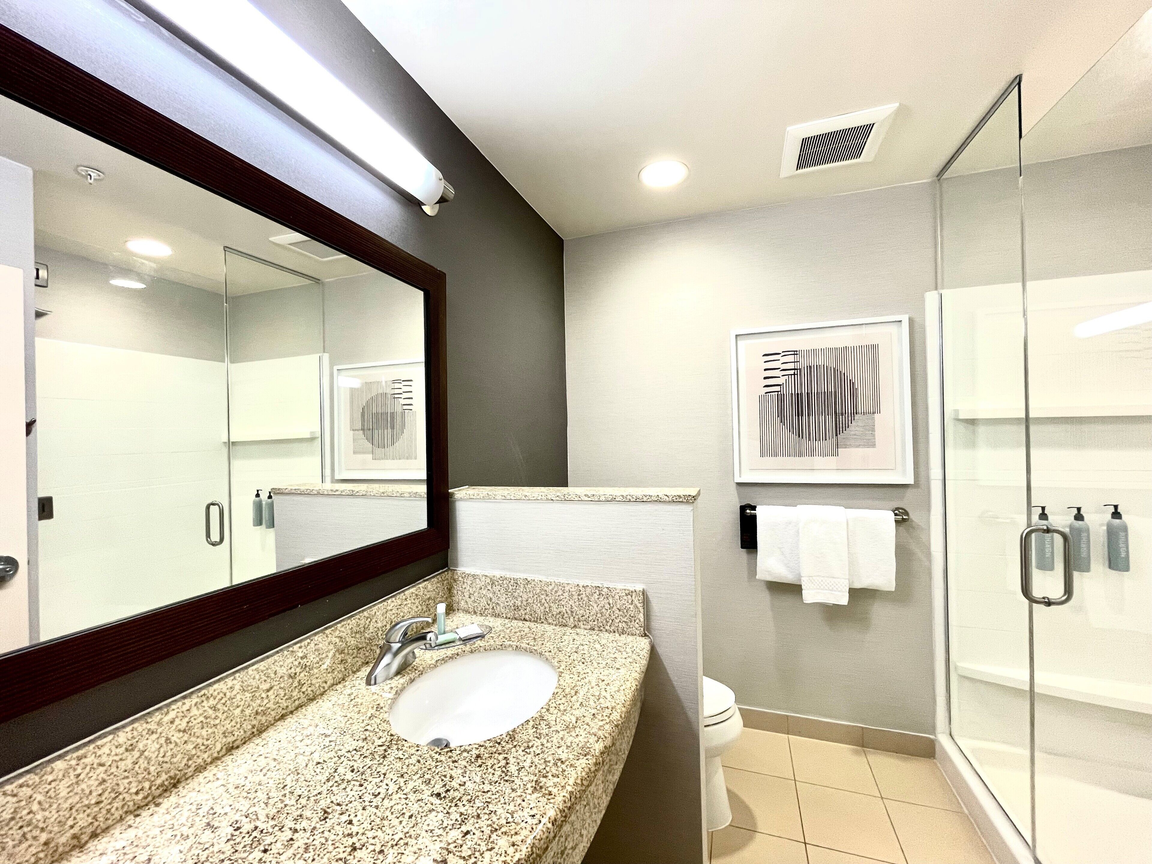 A modern bathroom with a granite sink, a large mirror, a glass shower enclosure, and a framed artwork on the wall.