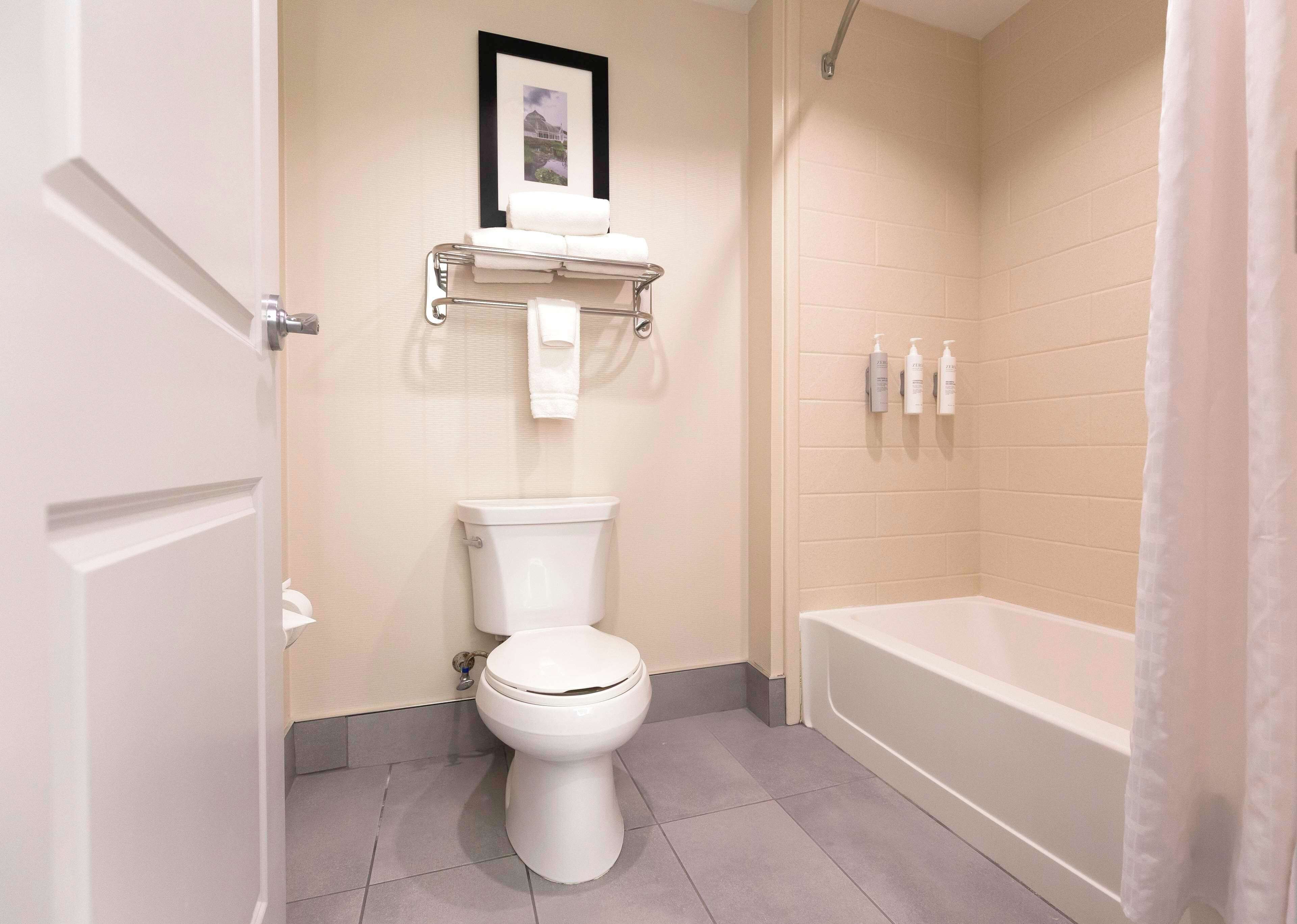 combined shower/bathtub, free toiletries, hair dryer, towels