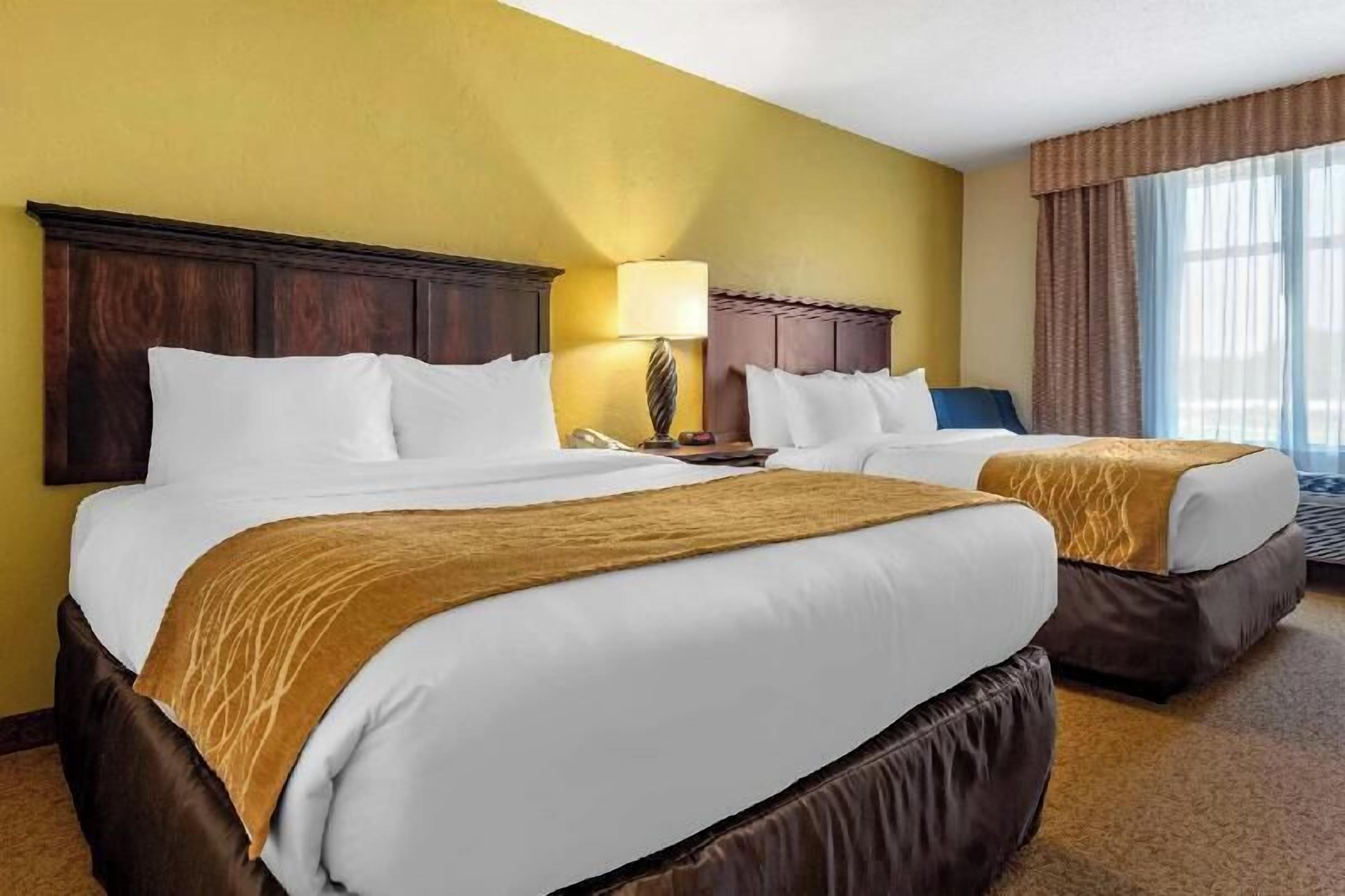 Premium bedding, down duvets, pillow-top beds, desk
