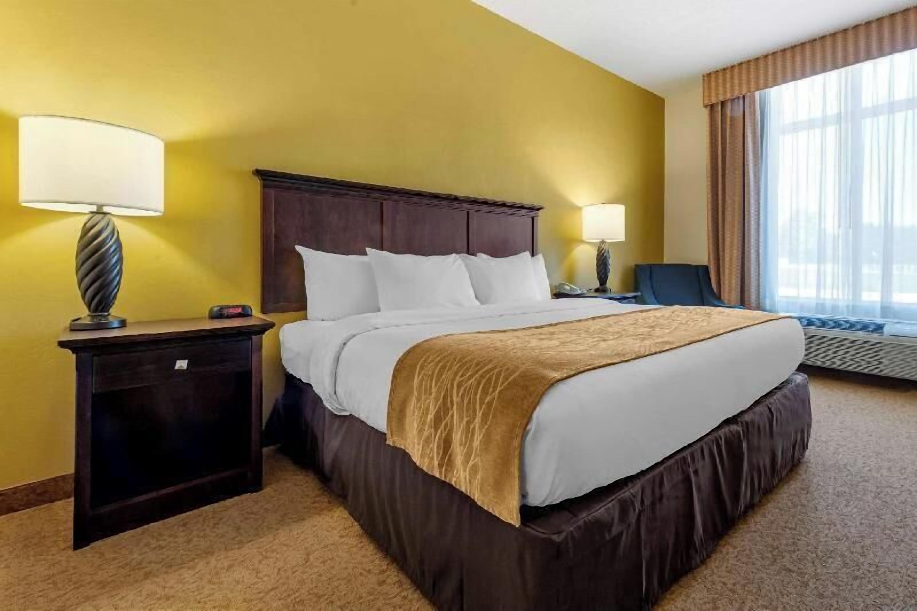 Premium bedding, down duvets, pillow-top beds, desk