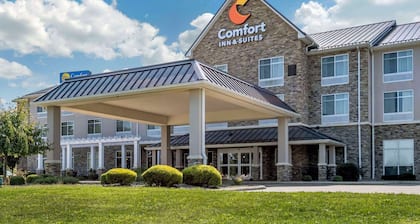 Comfort Inn & Suites Dover