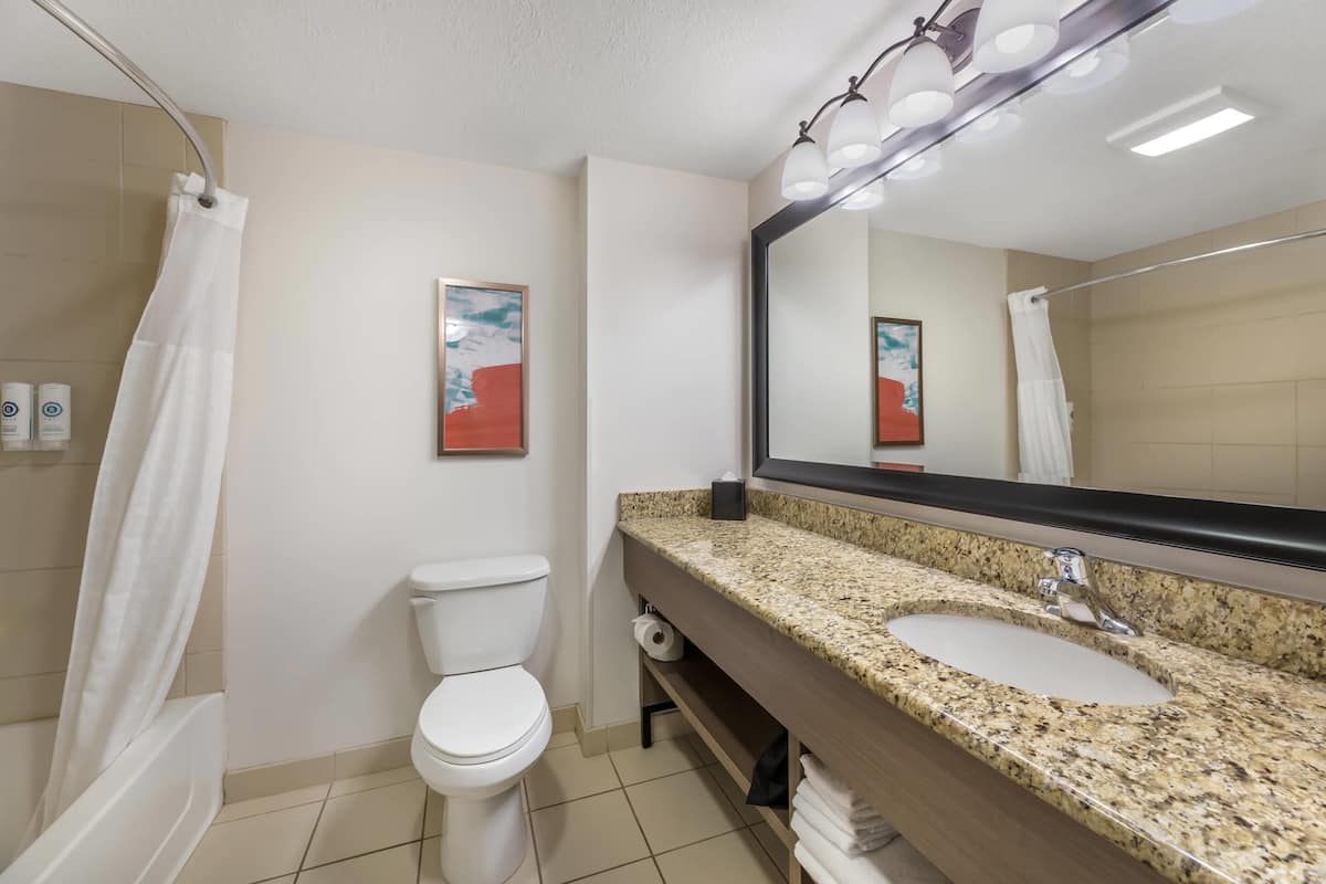 suite, multiple beds, non smoking | 1 bedroom, premium bedding, down duvets, pillow-top beds