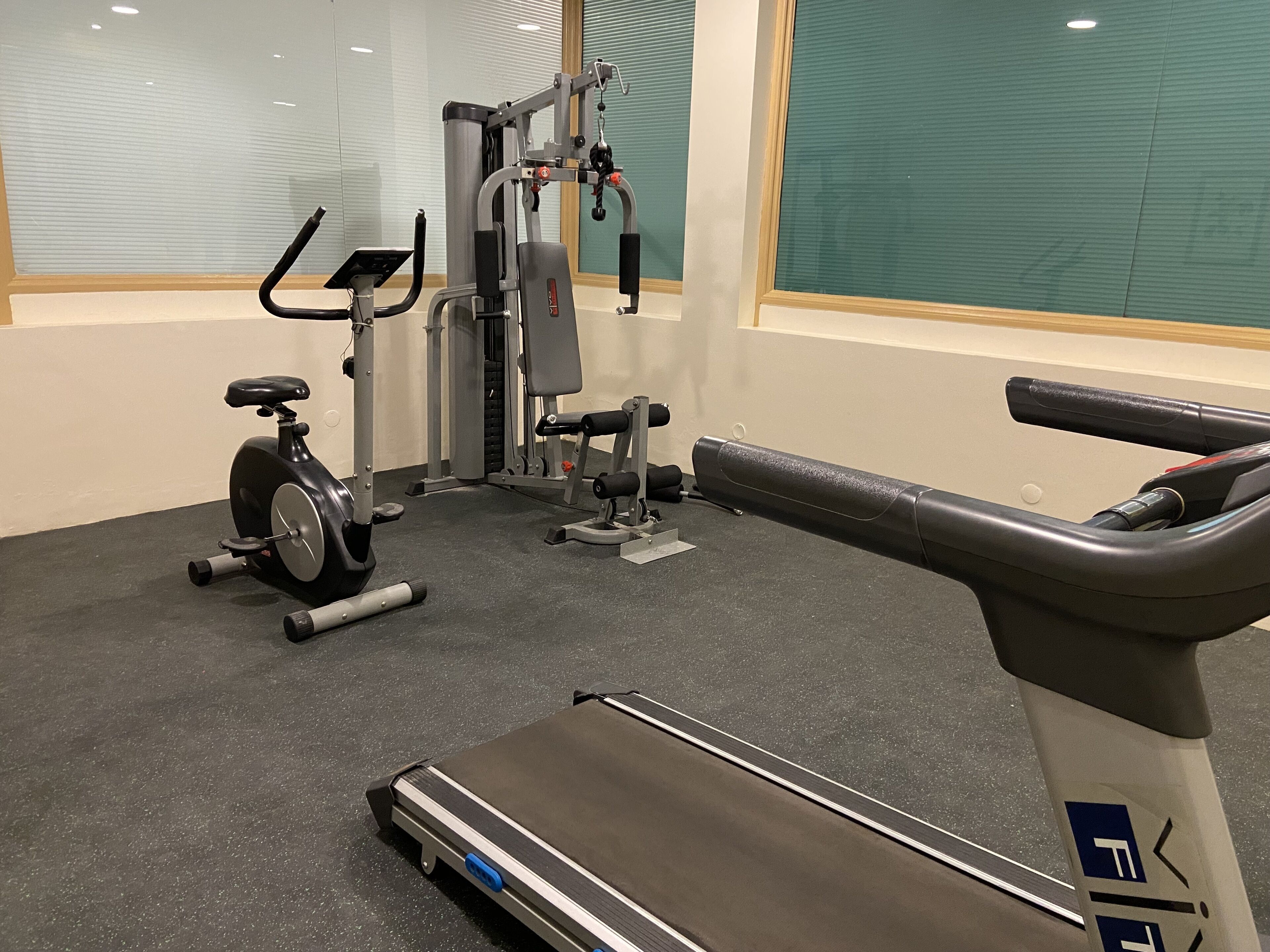 A gym with a treadmill, stationary bike, and weight machines.