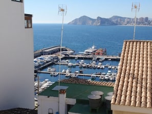 Vista desde la propiedad