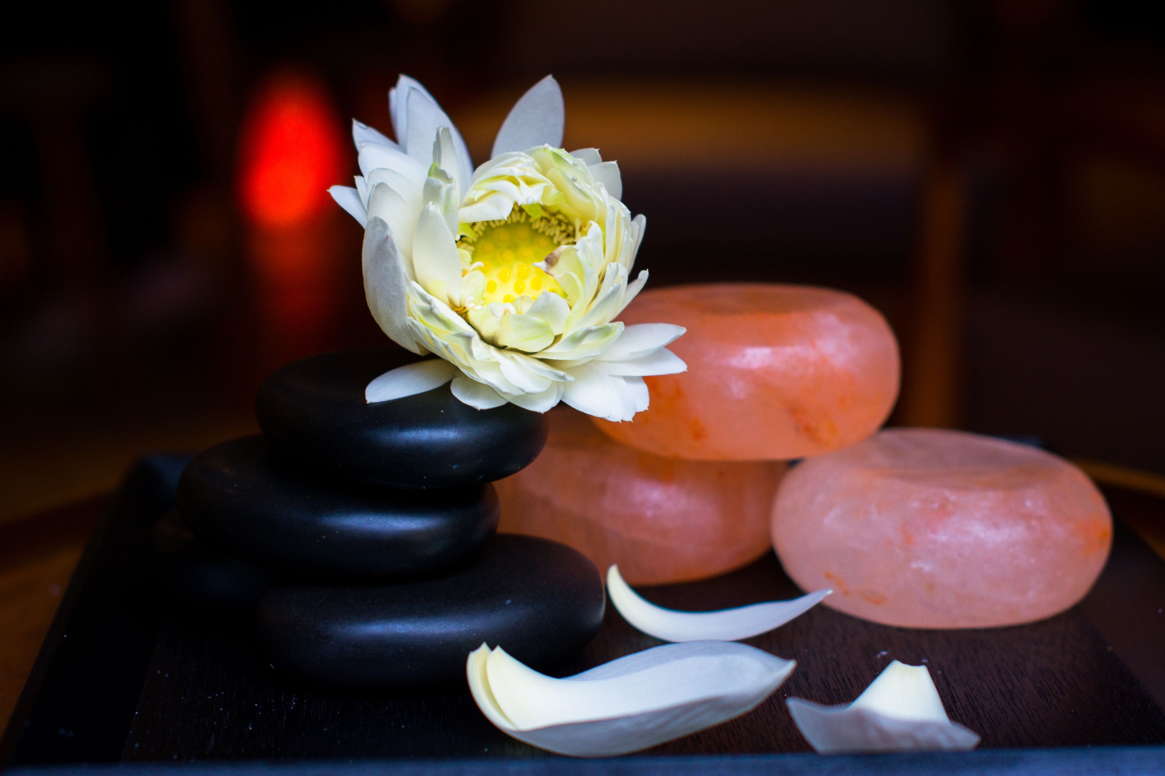 Photo - Hanoi E Central Luxury Hotel