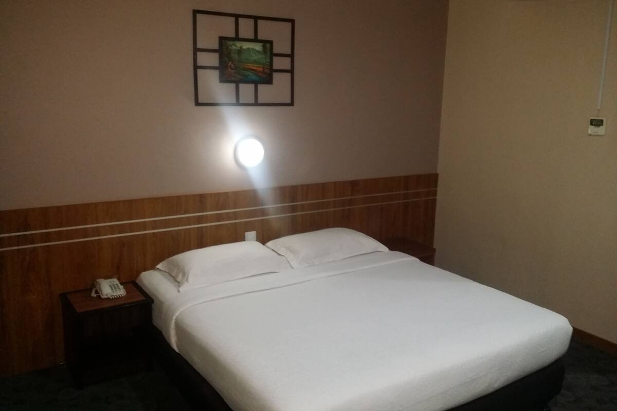 A hotel room with a single bed, a bedside table with a phone, a wall-mounted air conditioner, and a framed picture above the bed.
