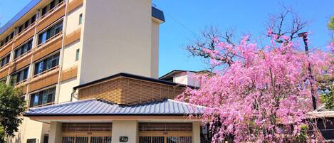 Tradisjonelt rom (Run of House) | Dundyner, safe på rommet, individuelt dekorert og individuelt innredet