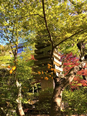 View from property - Ryokan Nenrinbo (Kyoto)