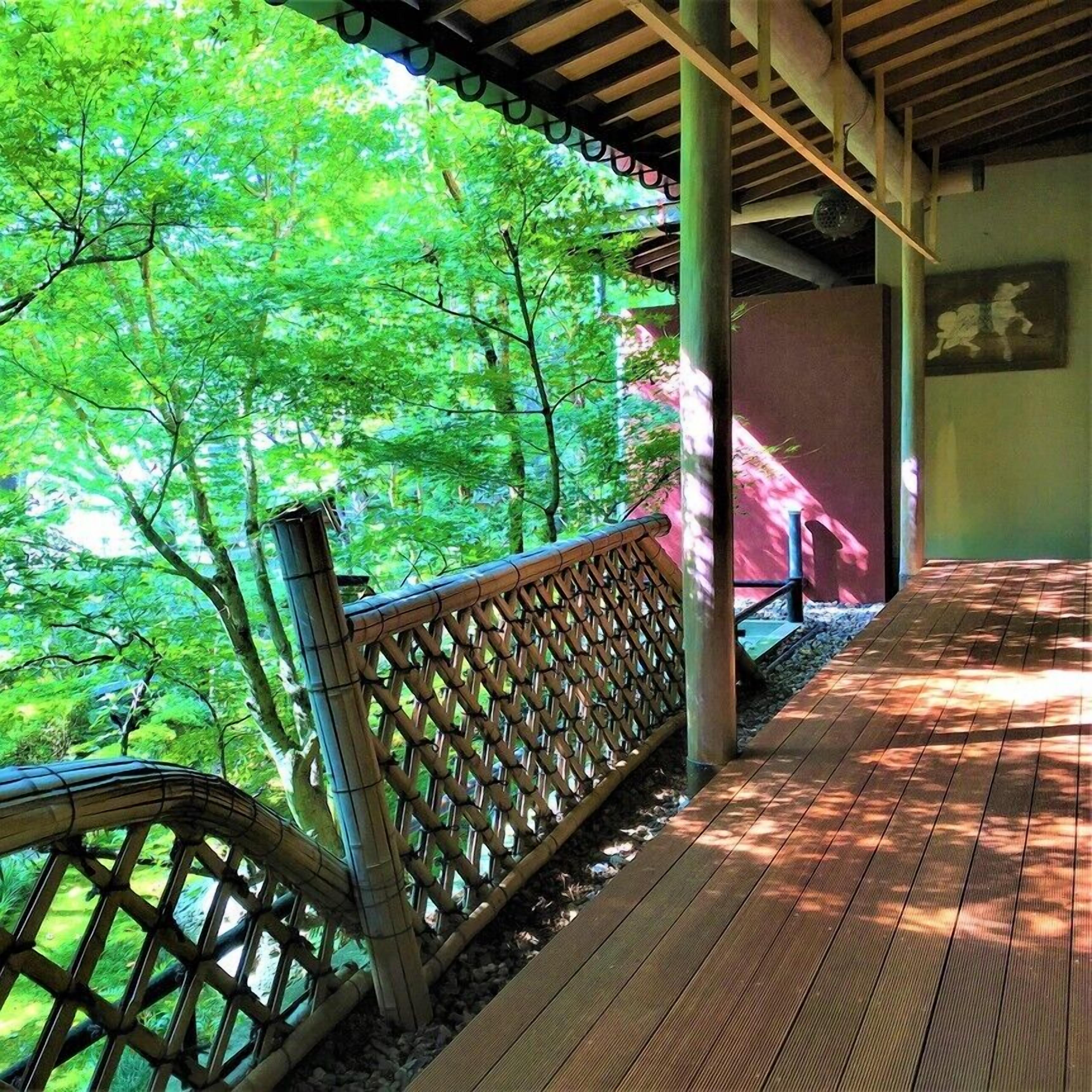A wooden deck with a bamboo fence, surrounded by lush green trees.