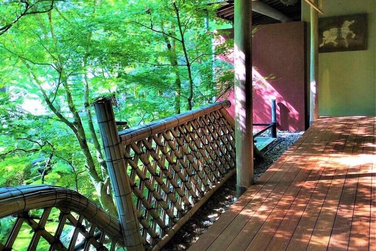 A wooden deck with a bamboo fence, surrounded by lush green trees.