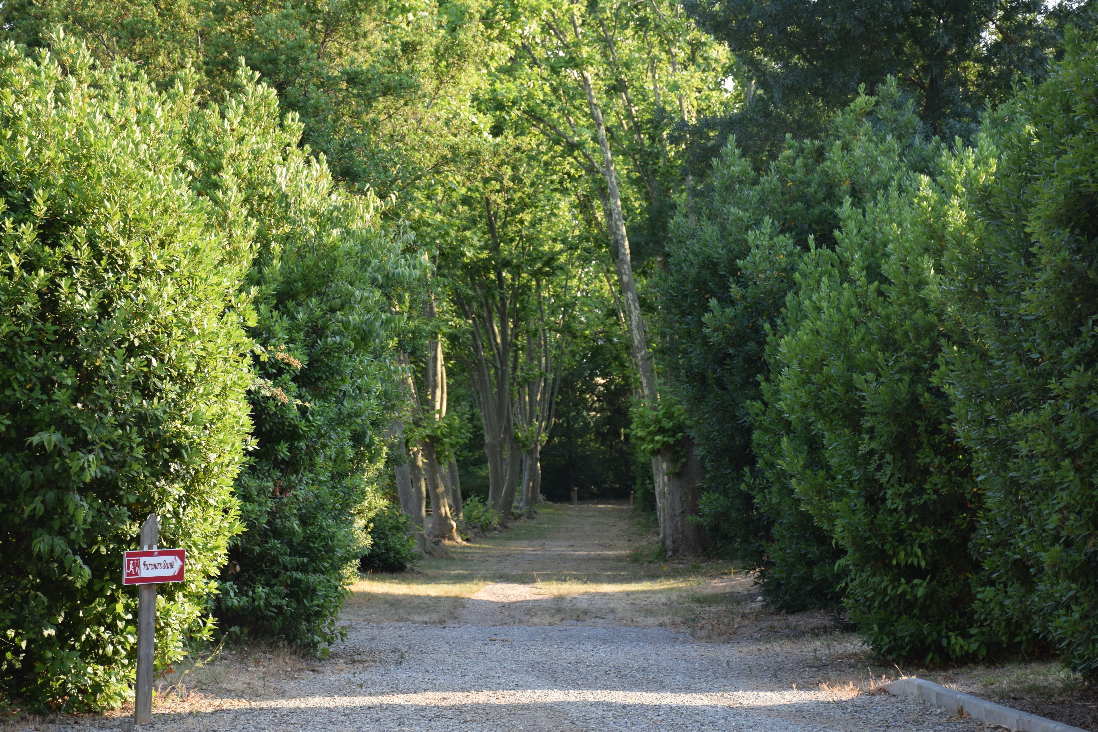 A gravel path leading through a wooded area with dense trees on both sides. A sign on the left reads "Parking Lot."