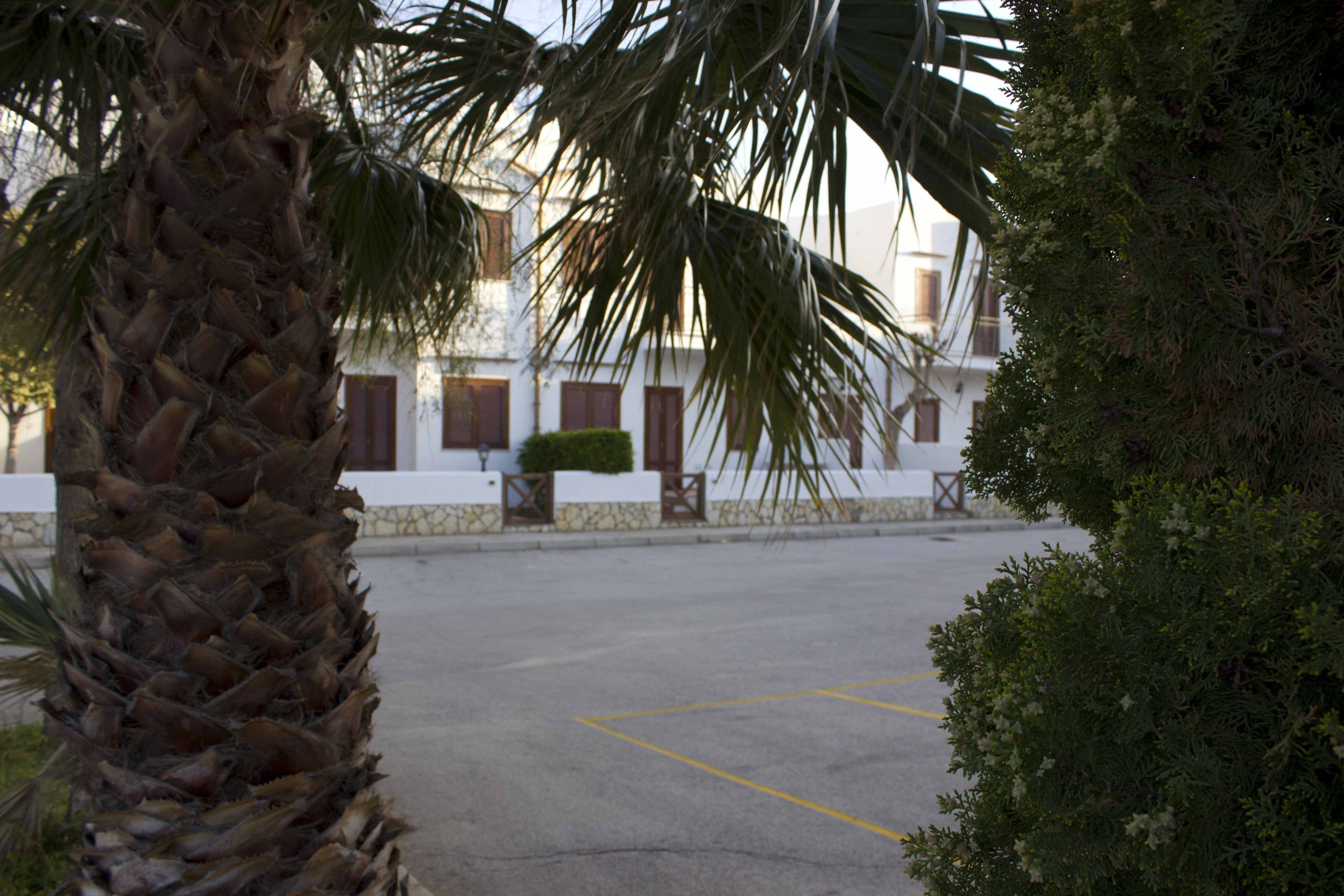 Un edificio con fachada blanca, un patio empedrado y una palmera en primer plano.